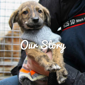 Our Story