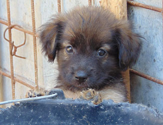 Photo 20