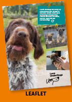 Leaflet